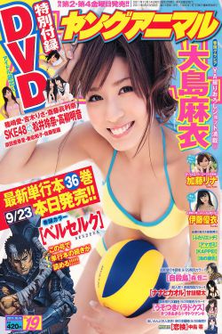 尼尔森赛鸽公棚春棚